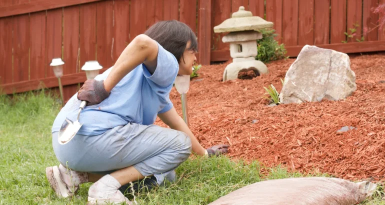 Tips from our Chiropractor in Waterloo: Improve Your Health and Prevent Back Injuries While Gardening